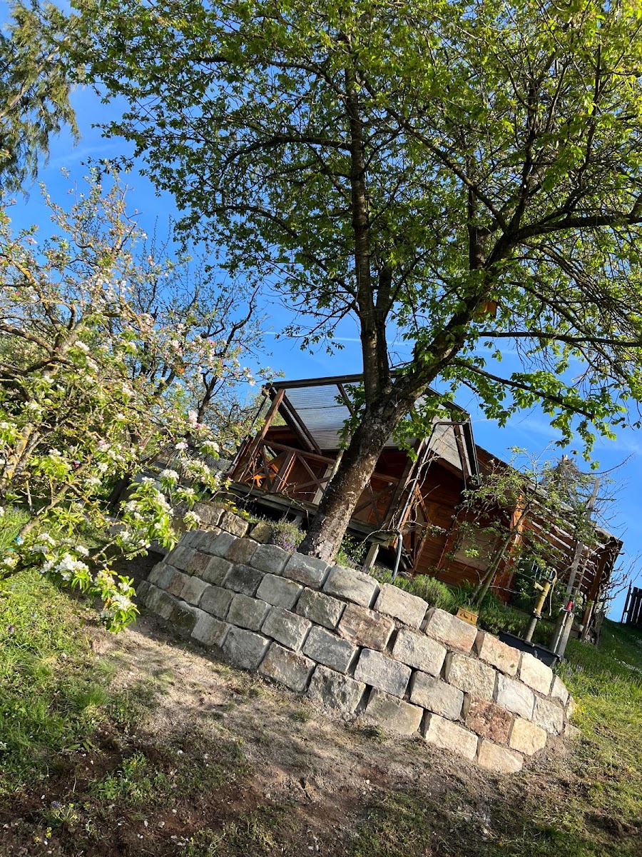 Natursteinmauer am Hang unter einem alten Baum
