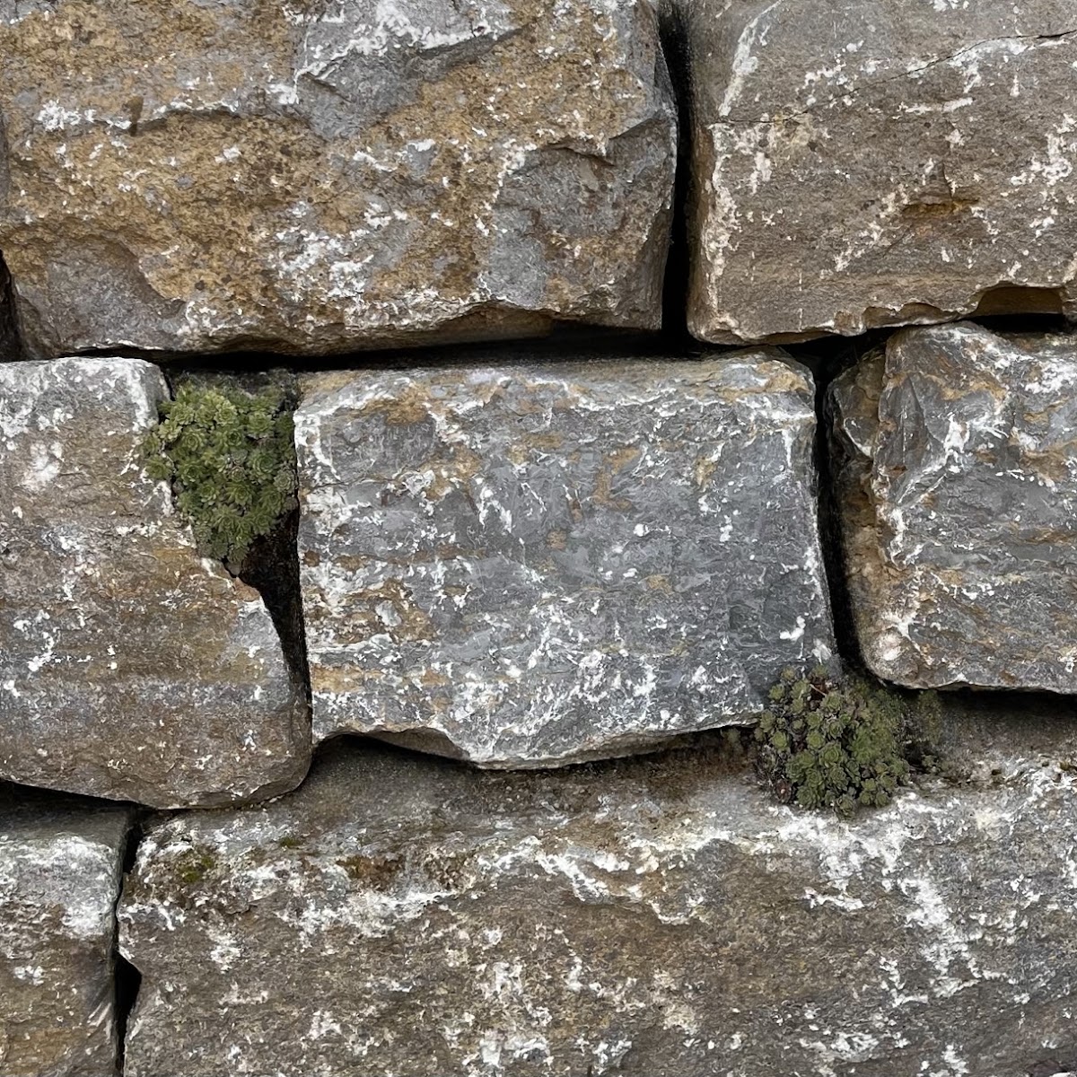 Nahaufnahme einer von Hand gesetzten Trockenmauer aus Natursteinquadern