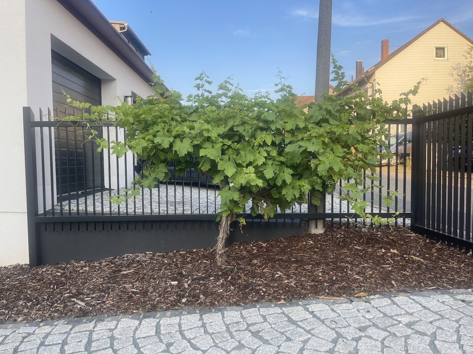 Einfahrt aus Kleinpflaster mit Zaun und Rindenmulchbeet